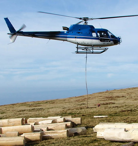 Knoxville Helicopter Logging